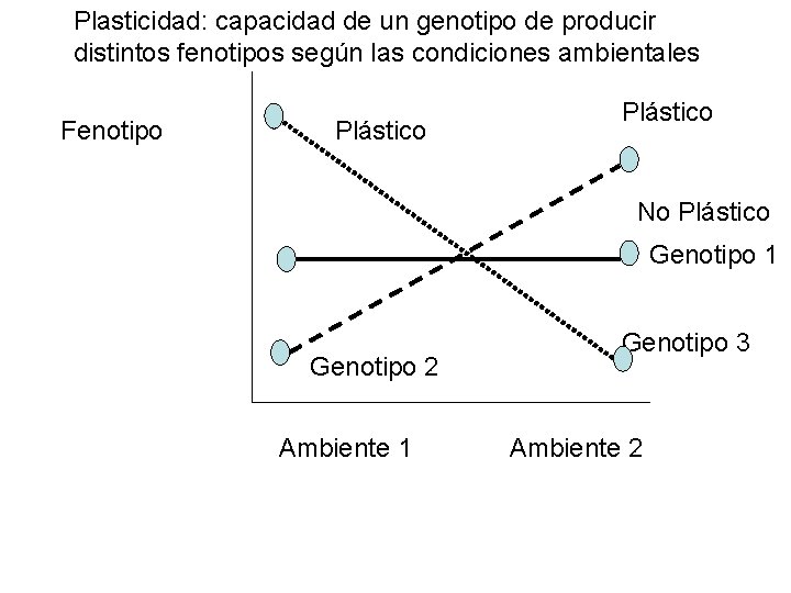 Plasticidad: capacidad de un genotipo de producir distintos fenotipos según las condiciones ambientales Fenotipo Plasticidad: capacidad de un genotipo de producir distintos fenotipos según las condiciones ambientales Fenotipo