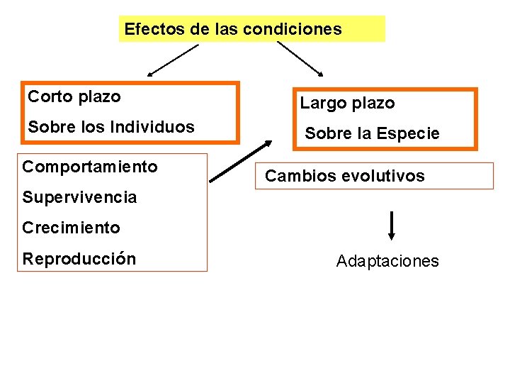 Efectos de las condiciones Corto plazo Largo plazo Sobre los Individuos Sobre la Especie Efectos de las condiciones Corto plazo Largo plazo Sobre los Individuos Sobre la Especie