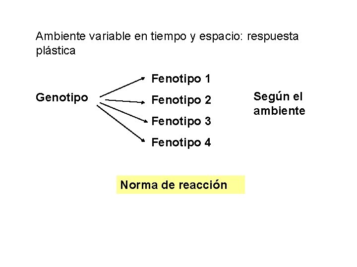 Ambiente variable en tiempo y espacio: respuesta plástica Fenotipo 1 Genotipo Fenotipo 2 Fenotipo Ambiente variable en tiempo y espacio: respuesta plástica Fenotipo 1 Genotipo Fenotipo 2 Fenotipo