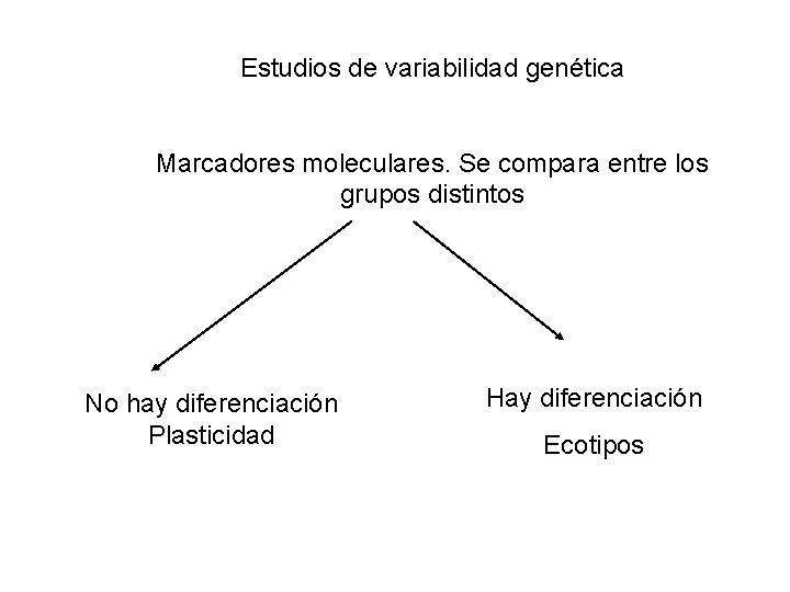 Estudios de variabilidad genética Marcadores moleculares. Se compara entre los grupos distintos No hay Estudios de variabilidad genética Marcadores moleculares. Se compara entre los grupos distintos No hay