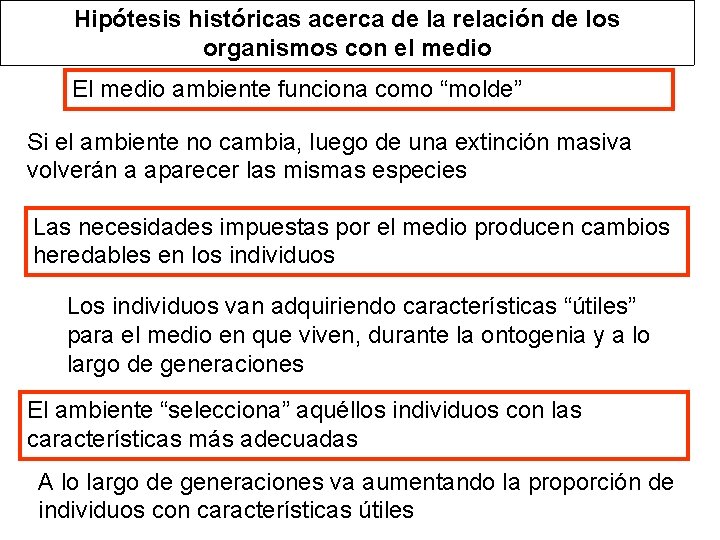 Hipótesis históricas acerca de la relación de los organismos con el medio El medio Hipótesis históricas acerca de la relación de los organismos con el medio El medio