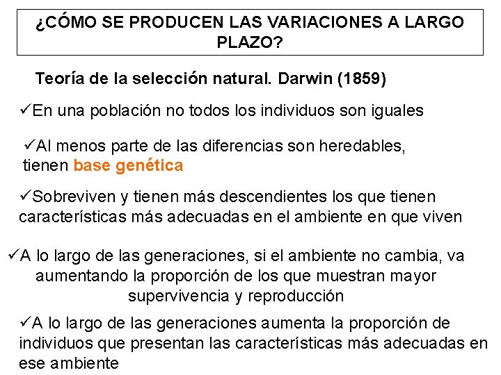 ¿CÓMO SE PRODUCEN LAS VARIACIONES A LARGO PLAZO? Teoría de la selección natural. Darwin ¿CÓMO SE PRODUCEN LAS VARIACIONES A LARGO PLAZO? Teoría de la selección natural. Darwin