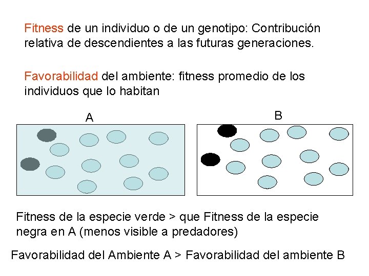 Fitness de un individuo o de un genotipo: Contribución relativa de descendientes a las Fitness de un individuo o de un genotipo: Contribución relativa de descendientes a las