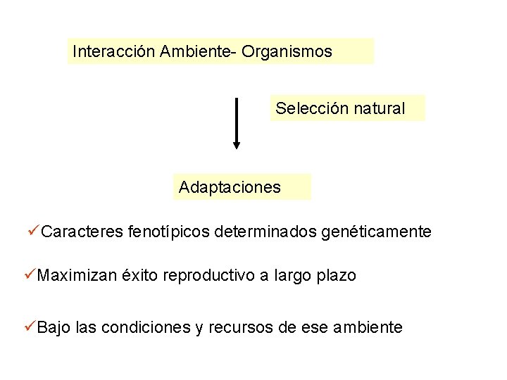 Interacción Ambiente- Organismos Selección natural Adaptaciones üCaracteres fenotípicos determinados genéticamente üMaximizan éxito reproductivo a Interacción Ambiente- Organismos Selección natural Adaptaciones üCaracteres fenotípicos determinados genéticamente üMaximizan éxito reproductivo a