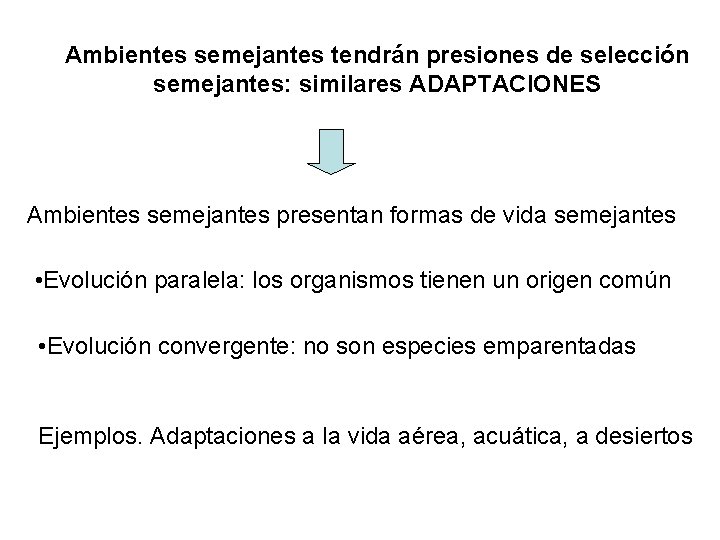 Ambientes semejantes tendrán presiones de selección semejantes: similares ADAPTACIONES Ambientes semejantes presentan formas de Ambientes semejantes tendrán presiones de selección semejantes: similares ADAPTACIONES Ambientes semejantes presentan formas de
