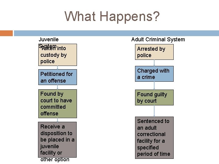 What Happens? Juvenile System Taken into custody by police Petitioned for an offense Found