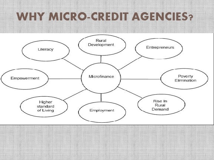 WHY MICRO-CREDIT AGENCIES? 