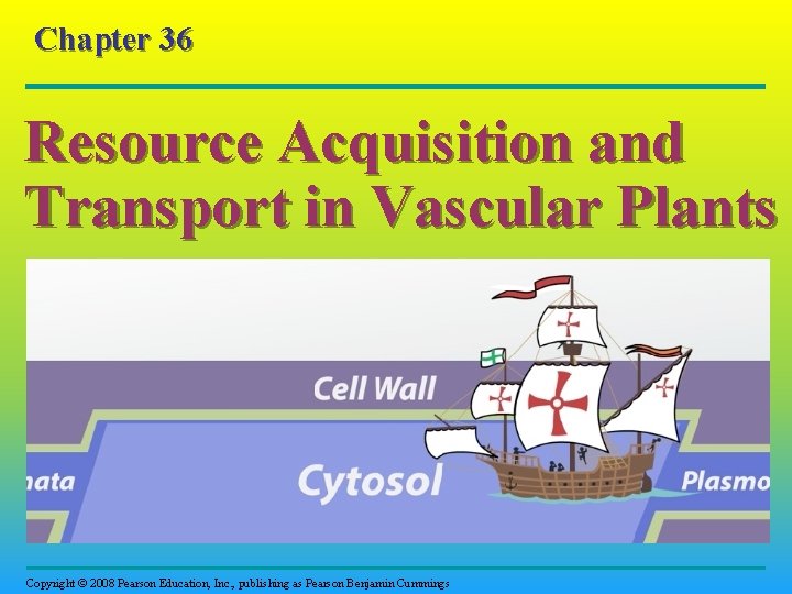 Chapter 36 Resource Acquisition and Transport in Vascular Plants Copyright © 2008 Pearson Education,