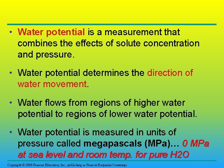  • Water potential is a measurement that combines the effects of solute concentration