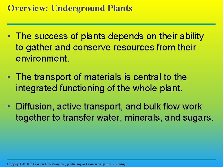 Overview: Underground Plants • The success of plants depends on their ability to gather