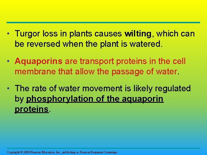  • Turgor loss in plants causes wilting, which can be reversed when the