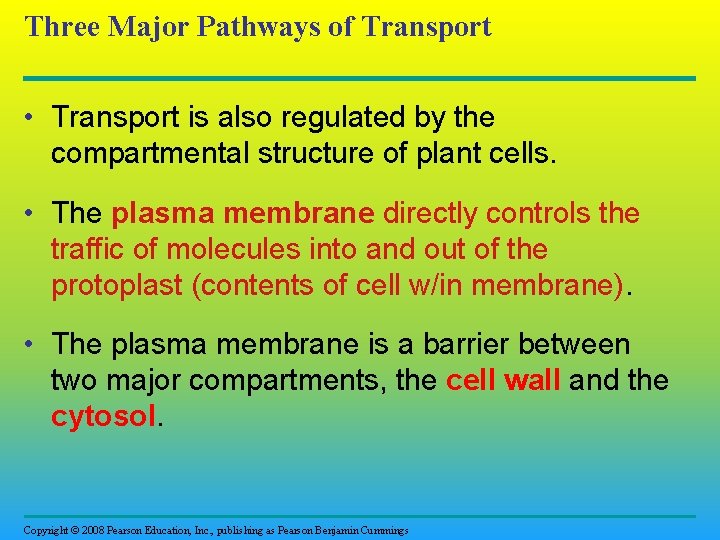 Three Major Pathways of Transport • Transport is also regulated by the compartmental structure