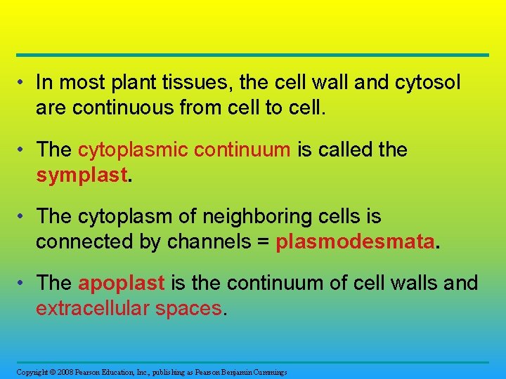  • In most plant tissues, the cell wall and cytosol are continuous from