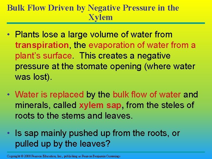 Bulk Flow Driven by Negative Pressure in the Xylem • Plants lose a large