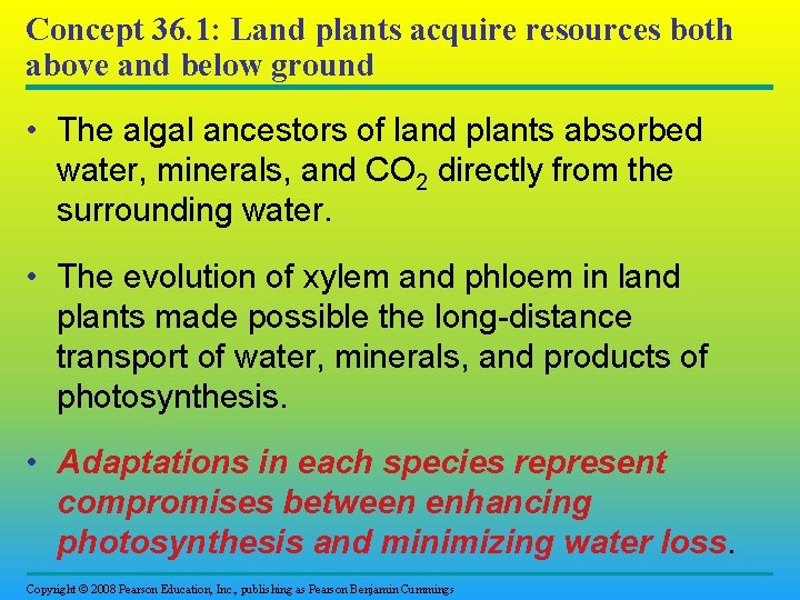 Concept 36. 1: Land plants acquire resources both above and below ground • The