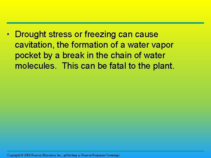  • Drought stress or freezing can cause cavitation, the formation of a water