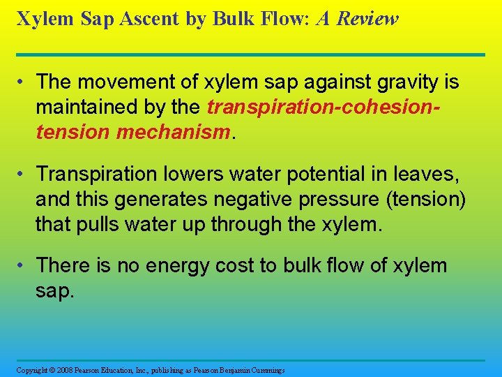 Xylem Sap Ascent by Bulk Flow: A Review • The movement of xylem sap