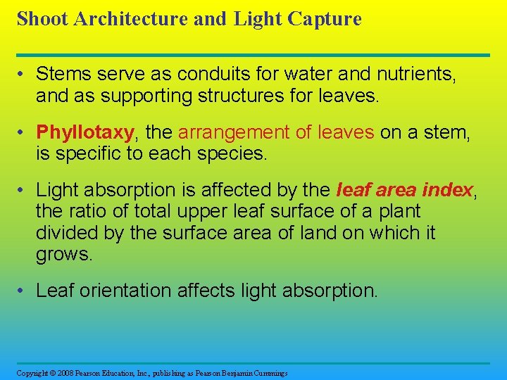 Shoot Architecture and Light Capture • Stems serve as conduits for water and nutrients,