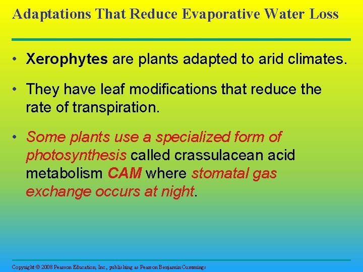 Adaptations That Reduce Evaporative Water Loss • Xerophytes are plants adapted to arid climates.