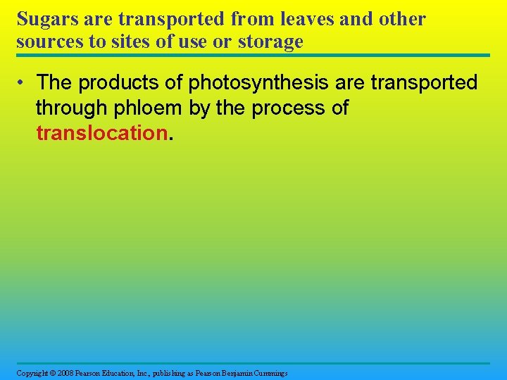 Sugars are transported from leaves and other sources to sites of use or storage