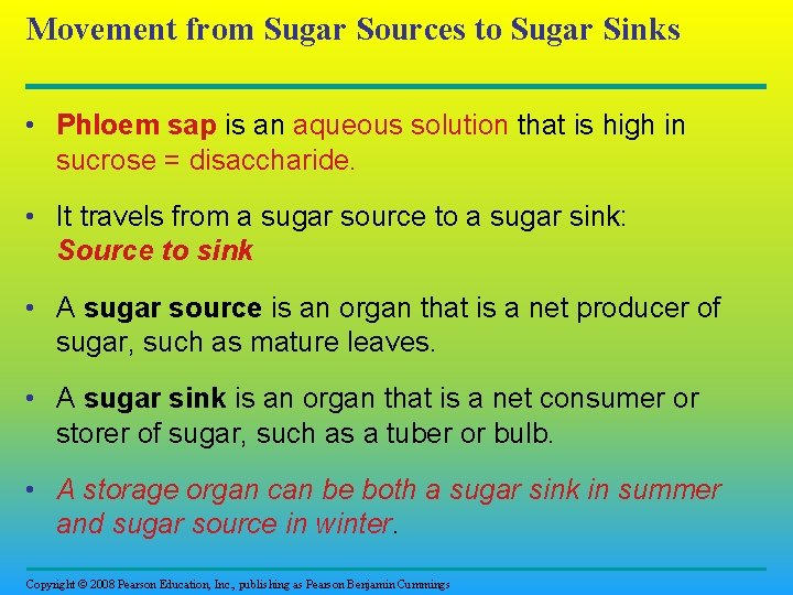 Movement from Sugar Sources to Sugar Sinks • Phloem sap is an aqueous solution