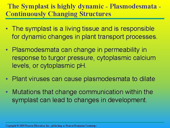 The Symplast is highly dynamic - Plasmodesmata Continuously Changing Structures • The symplast is