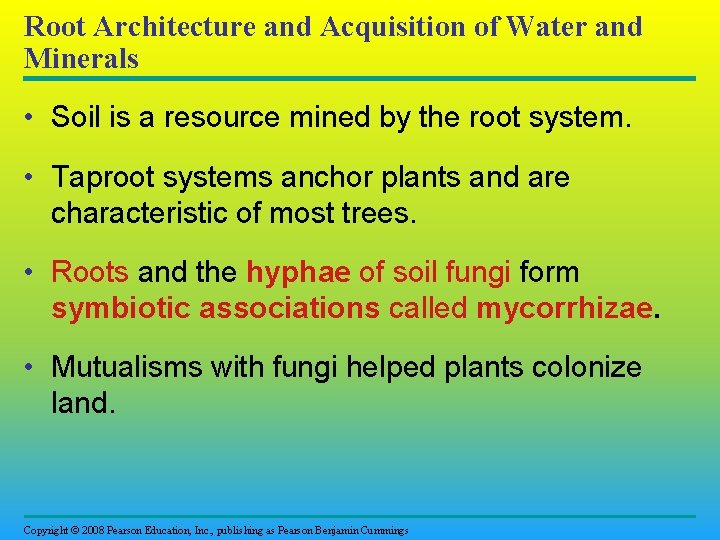 Root Architecture and Acquisition of Water and Minerals • Soil is a resource mined