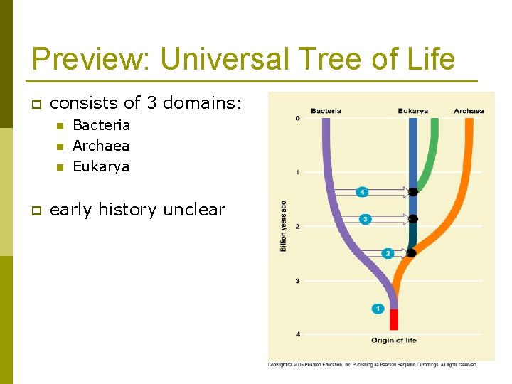 Preview: Universal Tree of Life p consists of 3 domains: n n n p