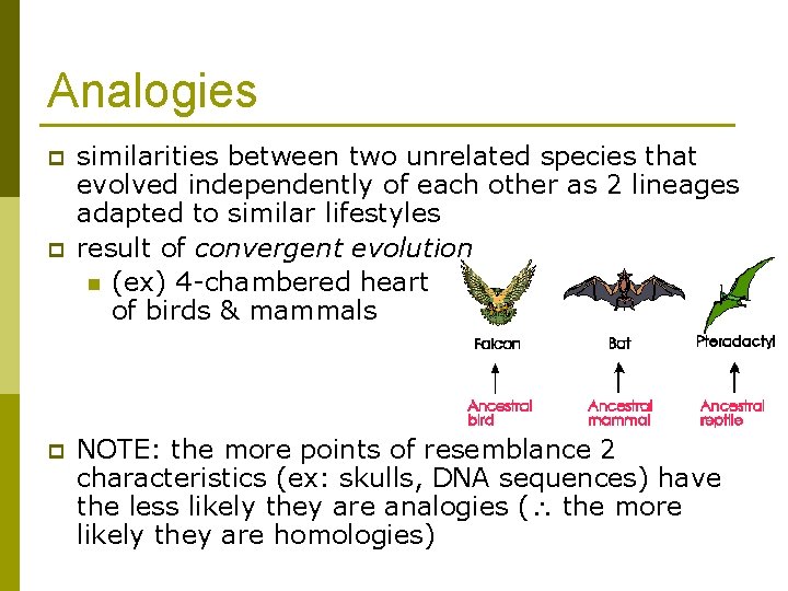 Analogies p p p similarities between two unrelated species that evolved independently of each