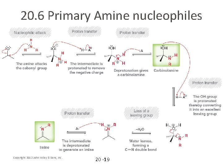 20. 6 Primary Amine nucleophiles Copyright 2012 John Wiley & Sons, Inc. 20 -19