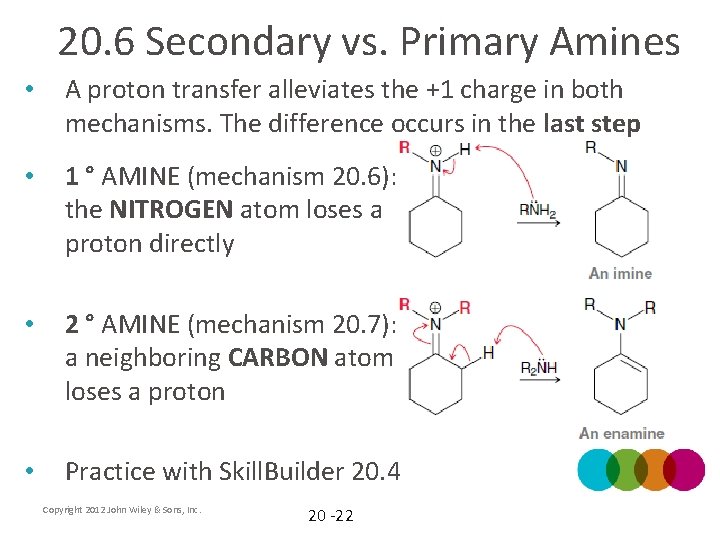 20. 6 Secondary vs. Primary Amines • A proton transfer alleviates the +1 charge