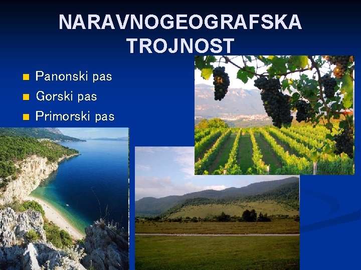 NARAVNOGEOGRAFSKA TROJNOST n n n Panonski pas Gorski pas Primorski pas 