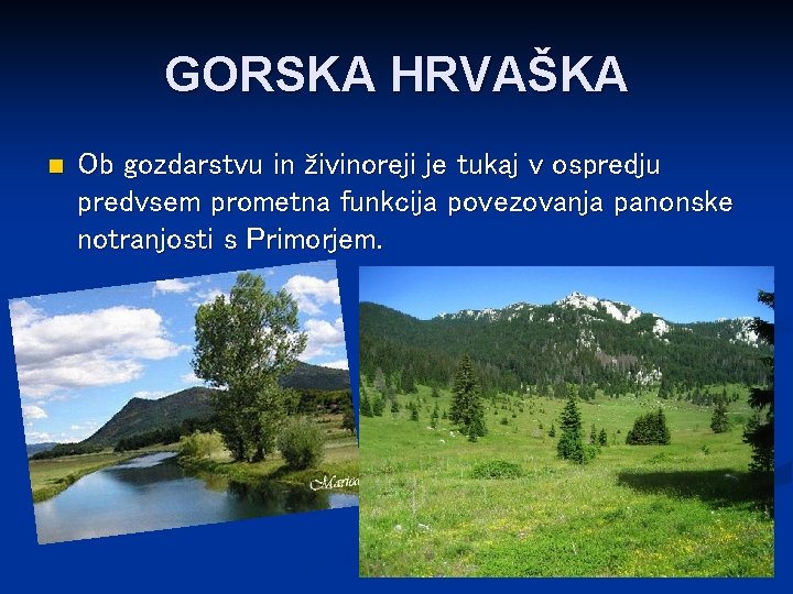 GORSKA HRVAŠKA n Ob gozdarstvu in živinoreji je tukaj v ospredju predvsem prometna funkcija