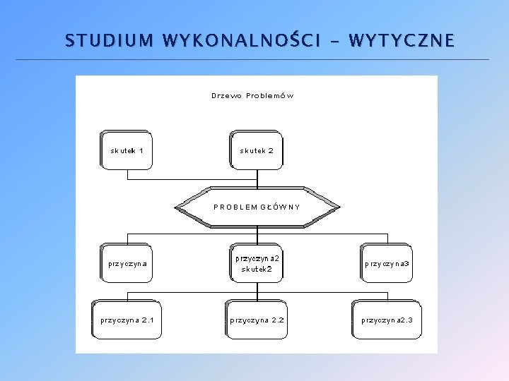 STUDIUM WYKONALNOŚCI - WYTYCZNE 