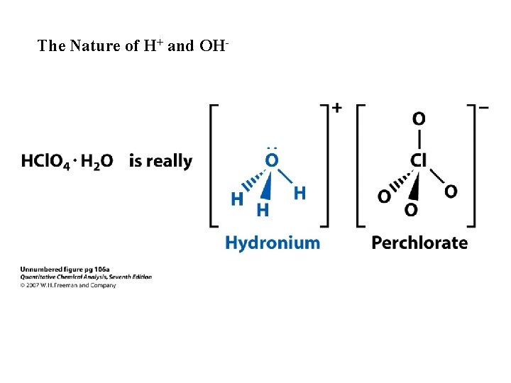 The Nature of H+ and OH- 