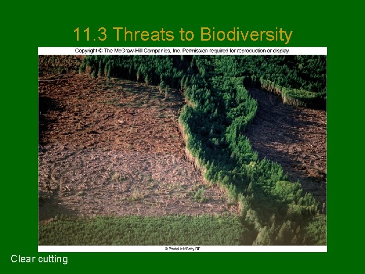 11. 3 Threats to Biodiversity Clear cutting 