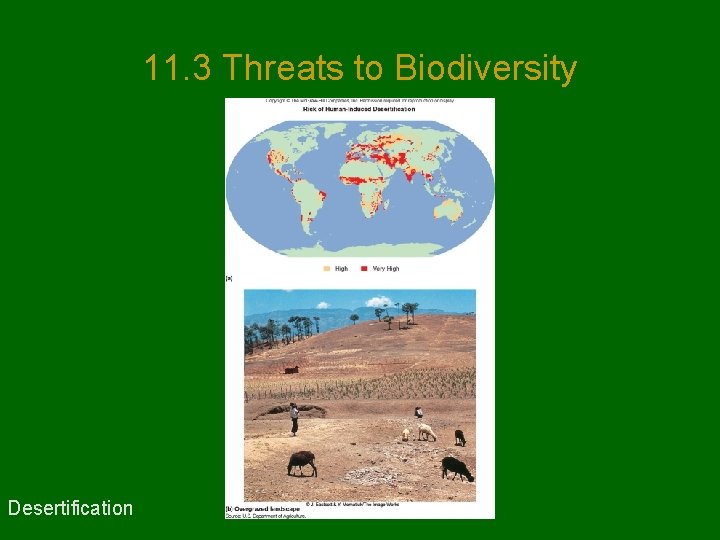 11. 3 Threats to Biodiversity Desertification 