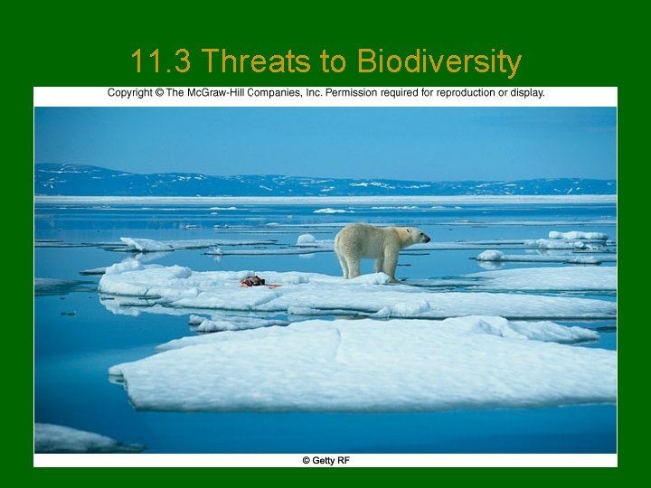 11. 3 Threats to Biodiversity 