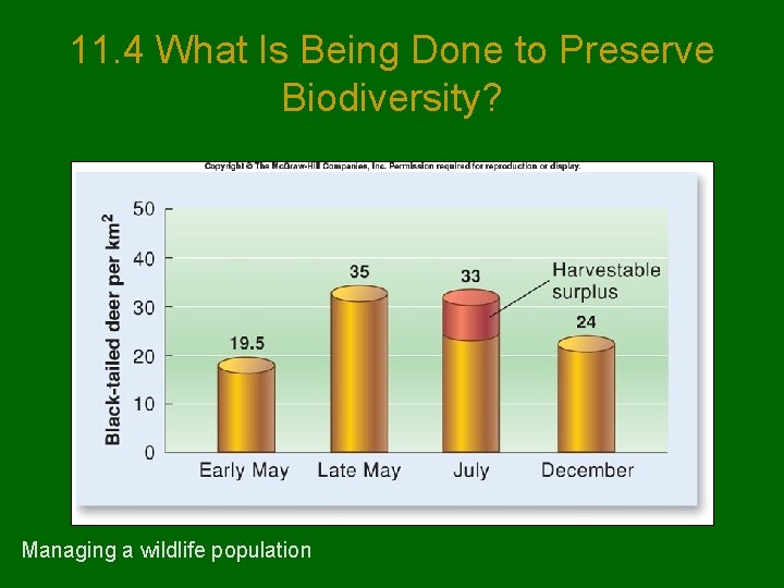 11. 4 What Is Being Done to Preserve Biodiversity? Managing a wildlife population 