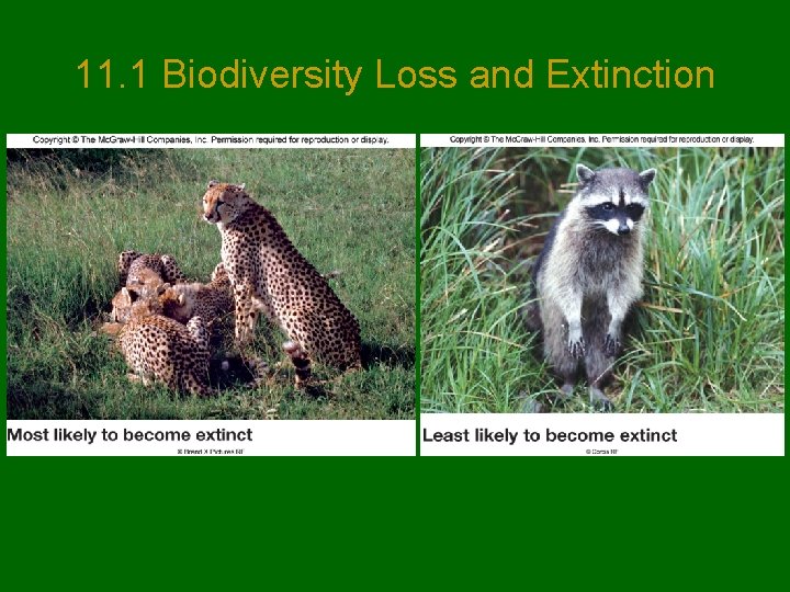 11. 1 Biodiversity Loss and Extinction 