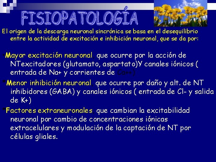 El origen de la descarga neuronal sincrónica se basa en el desequilibrio entre la El origen de la descarga neuronal sincrónica se basa en el desequilibrio entre la
