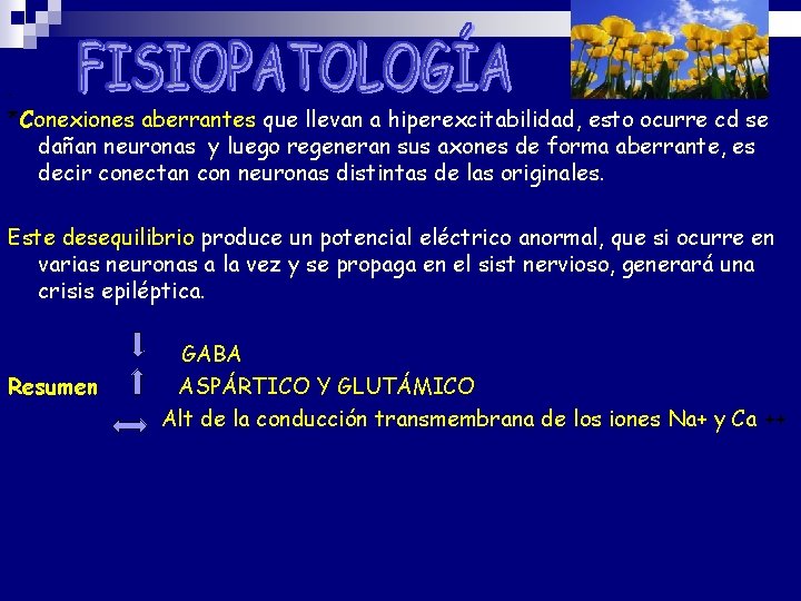 . *Conexiones aberrantes que llevan a hiperexcitabilidad, esto ocurre cd se dañan neuronas y . *Conexiones aberrantes que llevan a hiperexcitabilidad, esto ocurre cd se dañan neuronas y