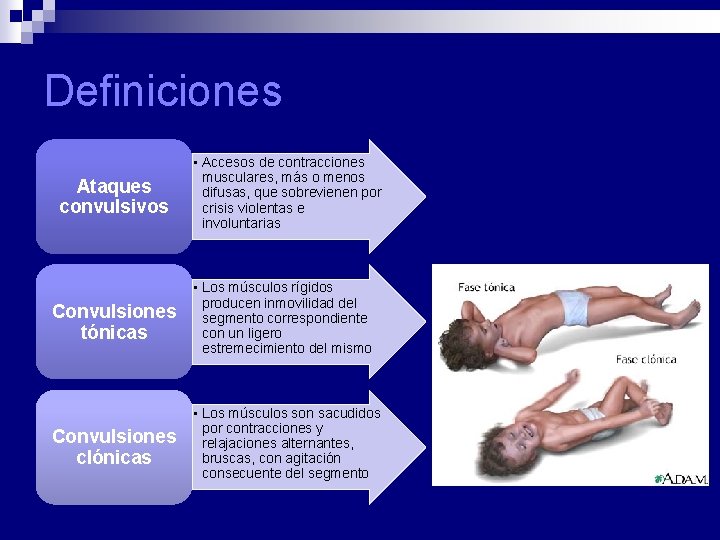 Definiciones Ataques convulsivos • Accesos de contracciones musculares, más o menos difusas, que sobrevienen Definiciones Ataques convulsivos • Accesos de contracciones musculares, más o menos difusas, que sobrevienen
