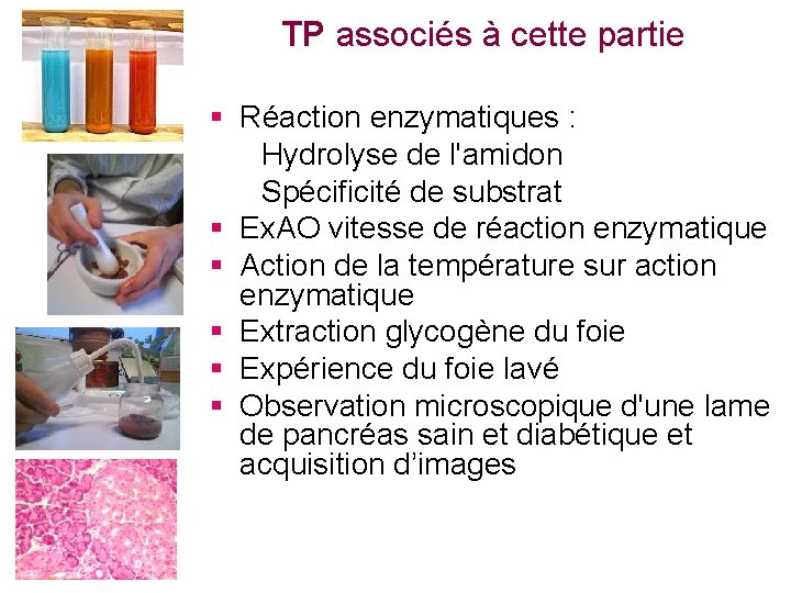 TP associés à cette partie § Réaction enzymatiques : Hydrolyse de l'amidon Spécificité de