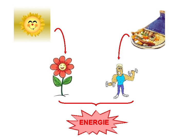 ENERGIE 