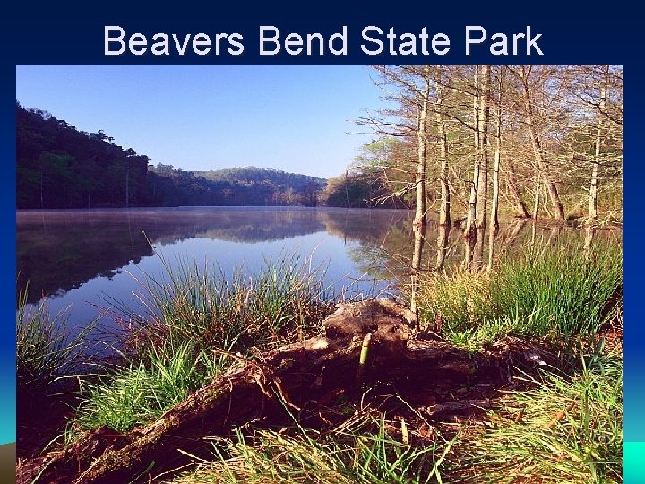 Beavers Bend State Park 