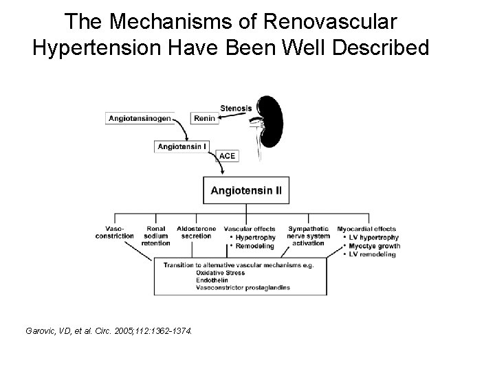 The Mechanisms of Renovascular Hypertension Have Been Well Described Garovic, VD, et al. Circ.