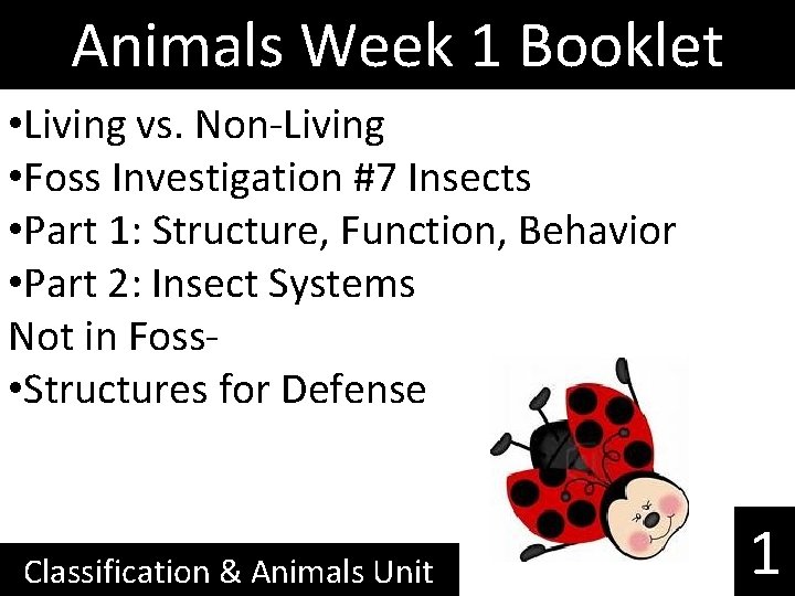 Animals Week 1 Booklet • Living vs. Non-Living • Foss Investigation #7 Insects •