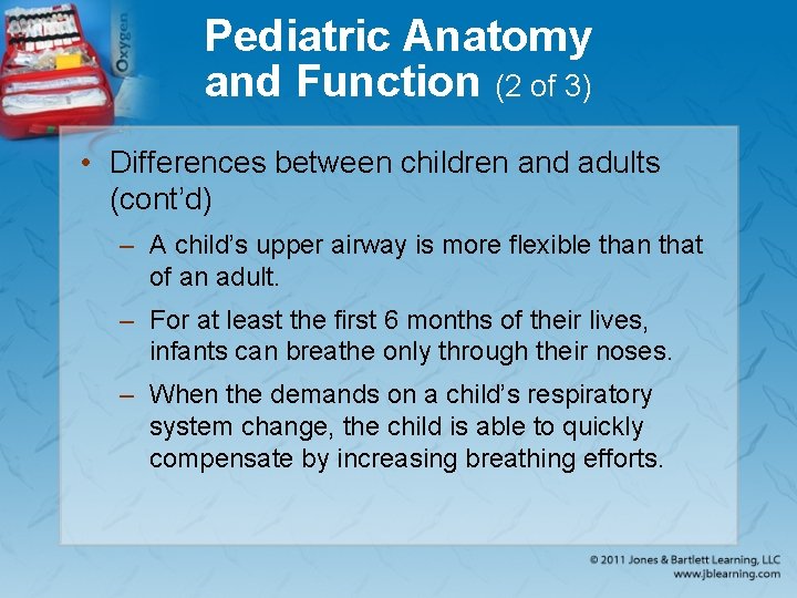 Pediatric Anatomy and Function (2 of 3) • Differences between children and adults (cont’d)