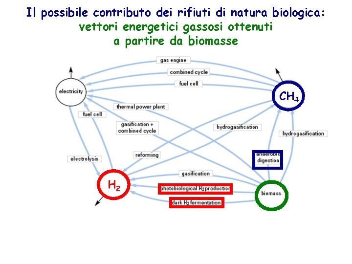 Il possibile contributo dei rifiuti di natura biologica: vettori energetici gassosi ottenuti a partire